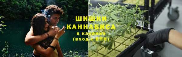 молекула духа Абинск