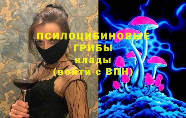 спиды Алексин